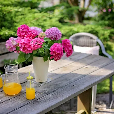 Danita 公寓 博登斯多夫