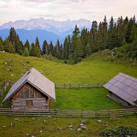 Danita * 博登斯多夫