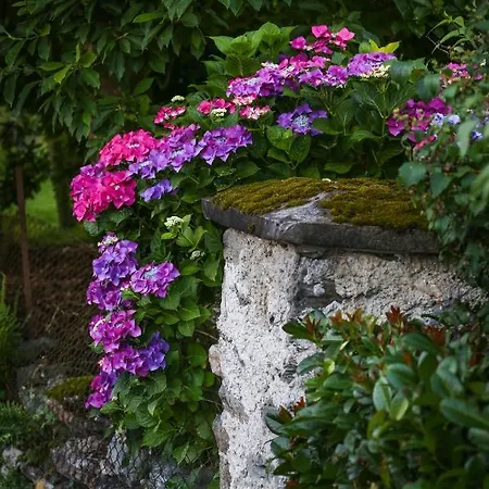 Danita 公寓 博登斯多夫