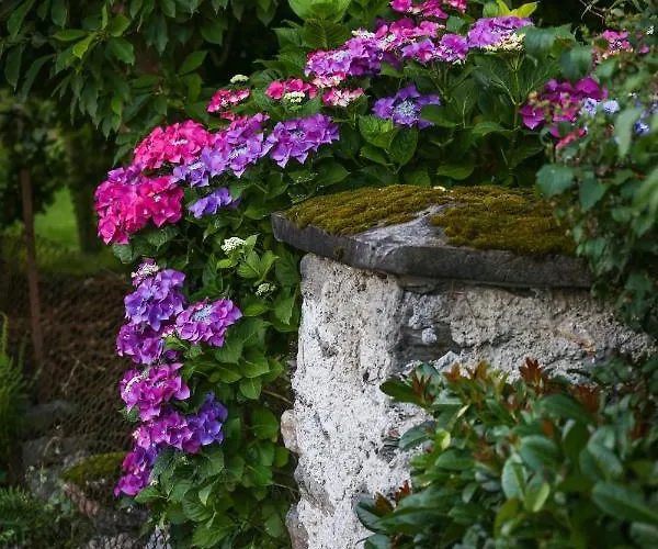 Danita Apartament Bodensdorf