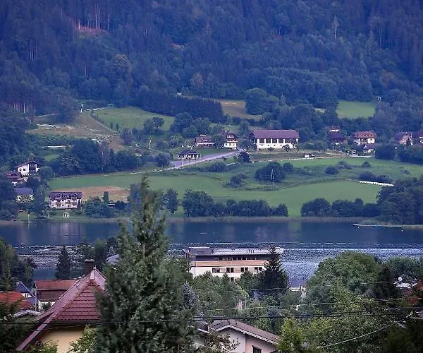 Danita